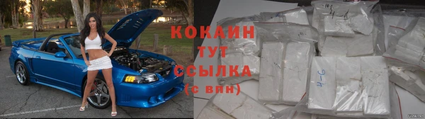 соль ск Богородск