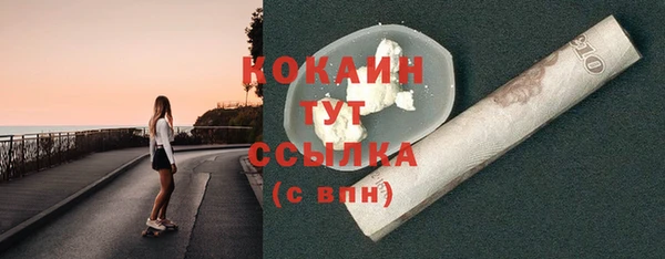 соль ск Богородск