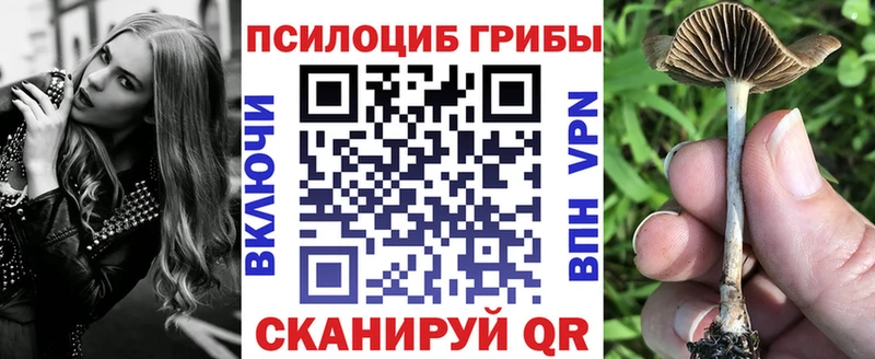 где можно купить   Свирск  Псилоцибиновые грибы ЛСД 